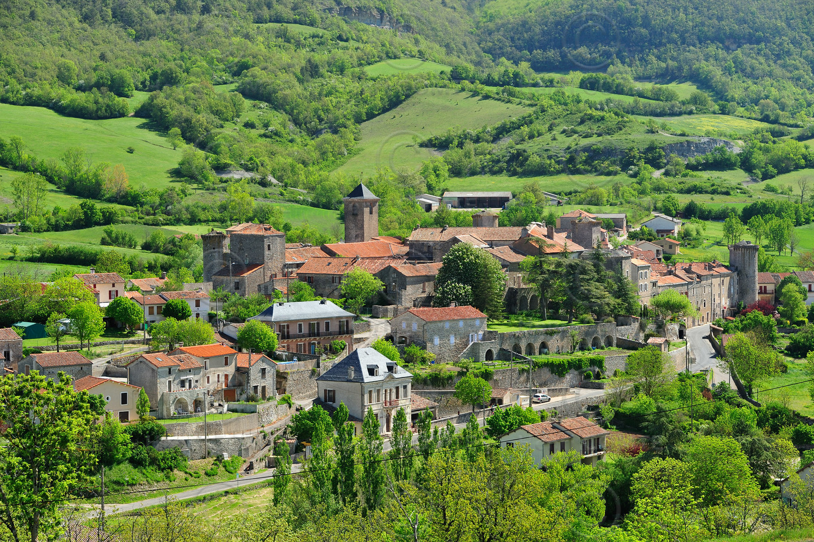 Sainte Eulalie de Cernon