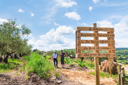 Jardin potager