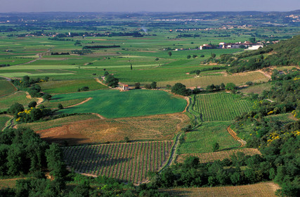 Plaine de l'Hérault
