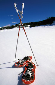 Sport d'hiver