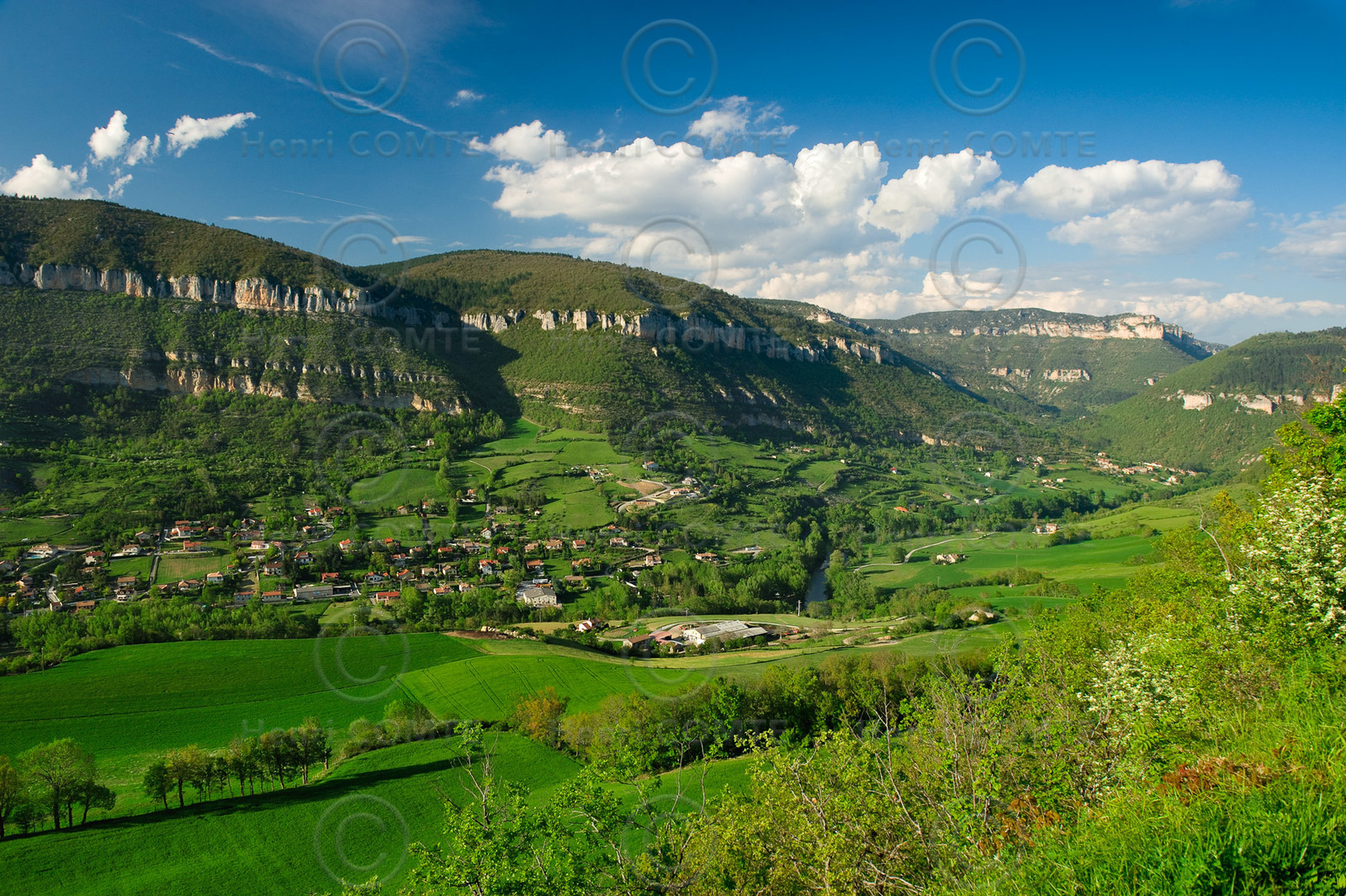 Vallée de la Dourbie