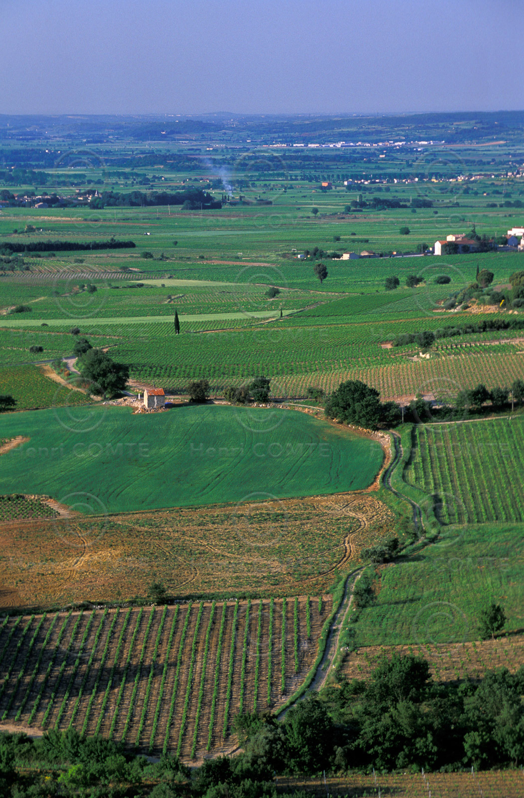 Plaine de l'Hérault
