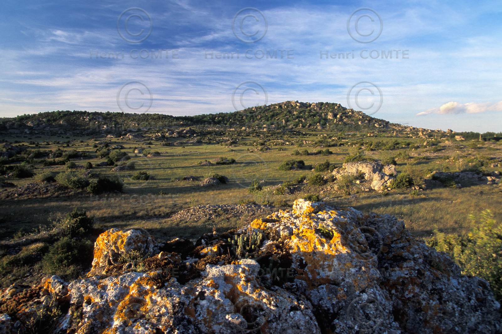 Larzac