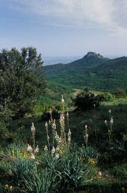 Les Avant-Causses
