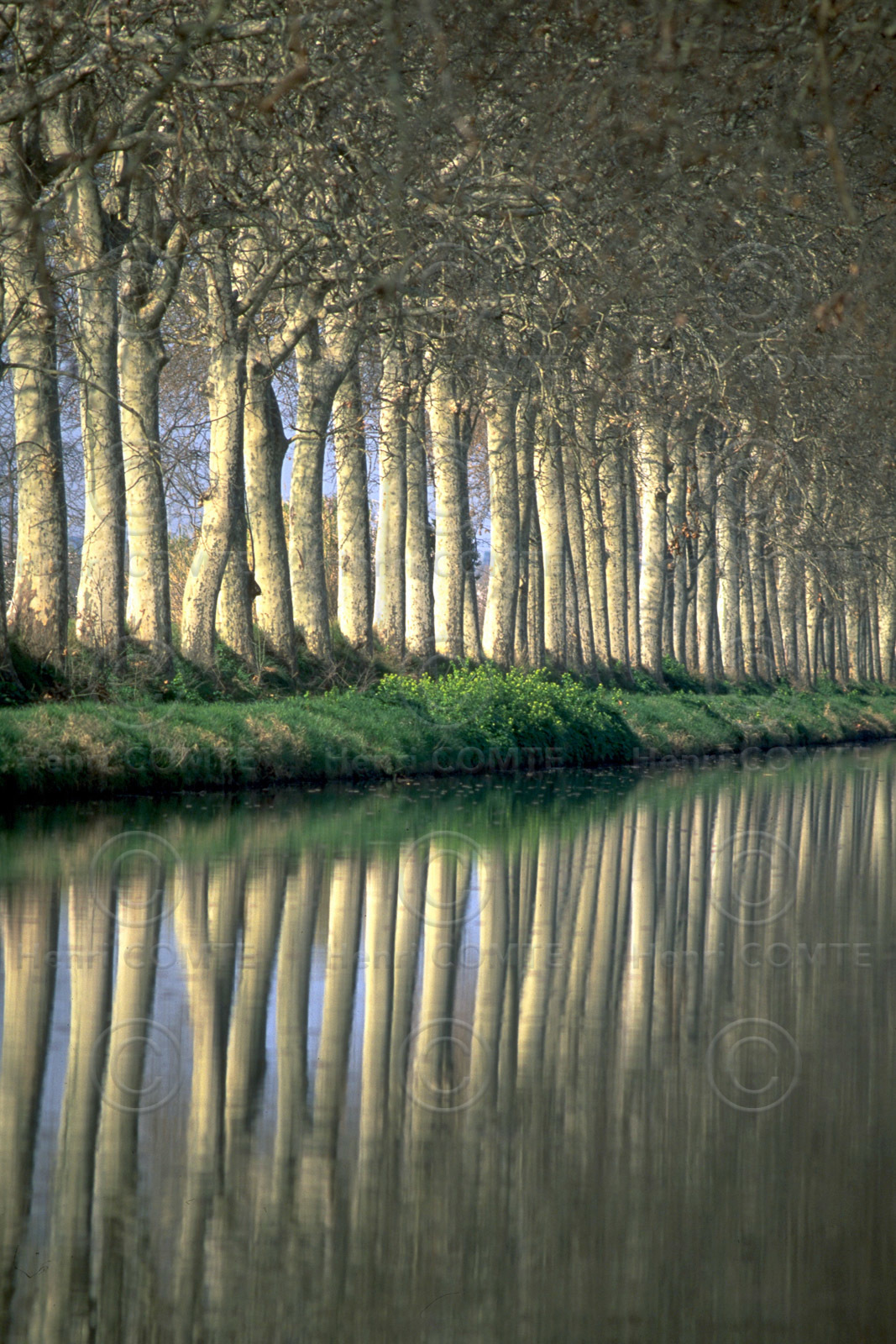 Le canal du Midi