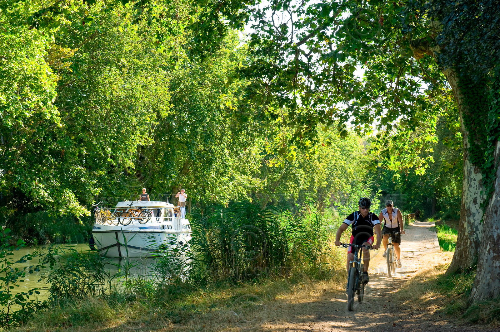 VTT- Canal du midi