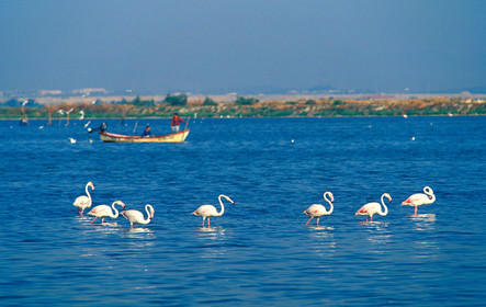 Etang de l'Or