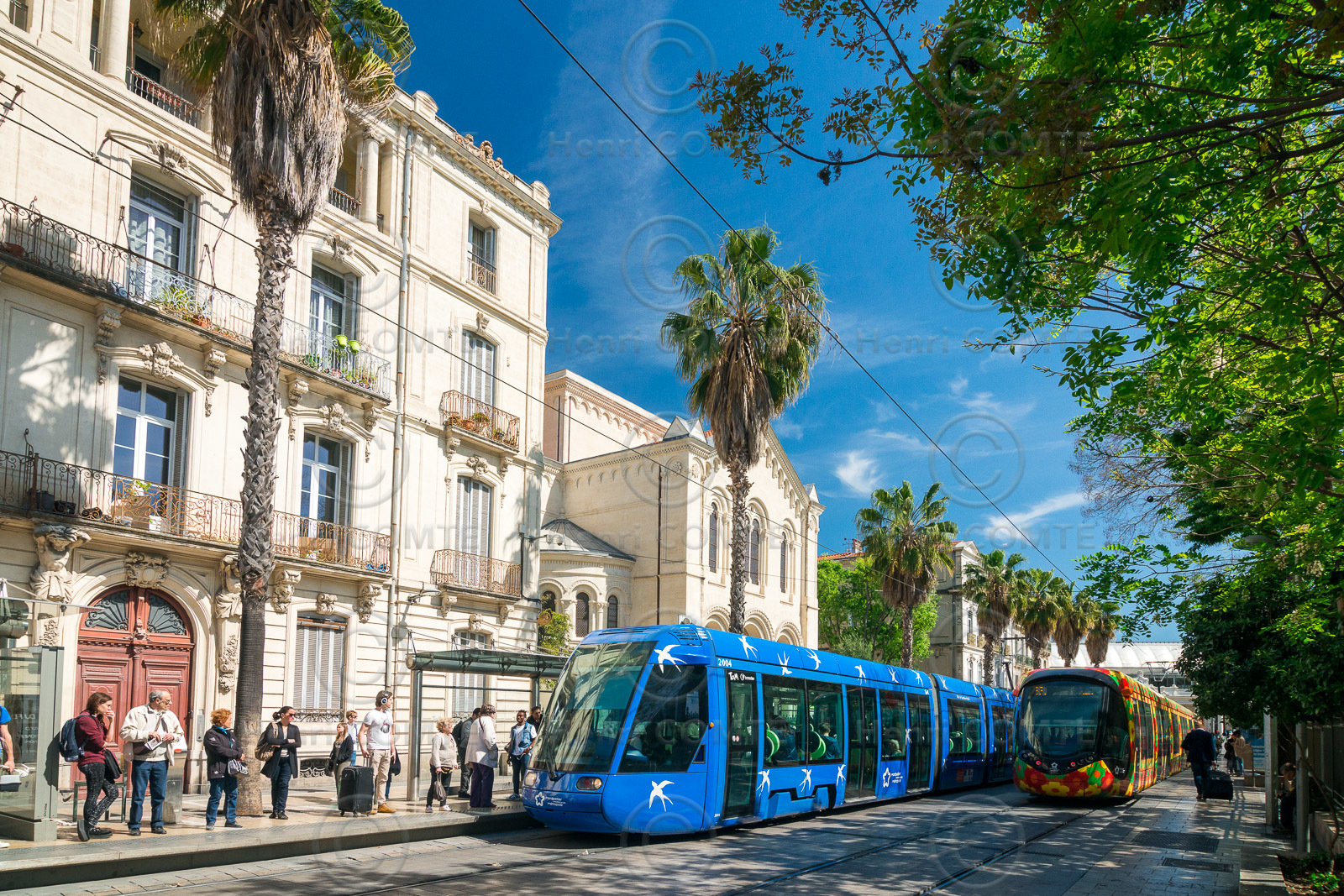Montpellier