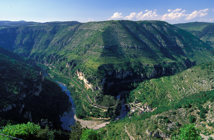 Gorges du Tarn