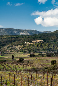 Montpeyroux