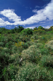 La Gardiole