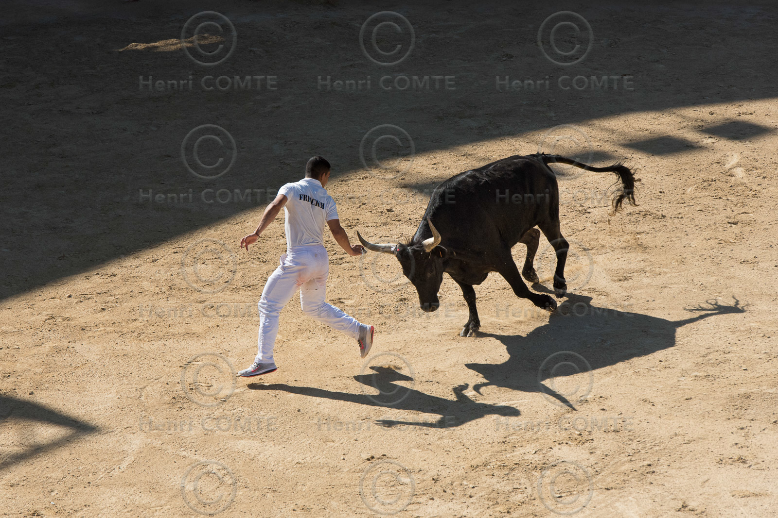 Course camarguaise