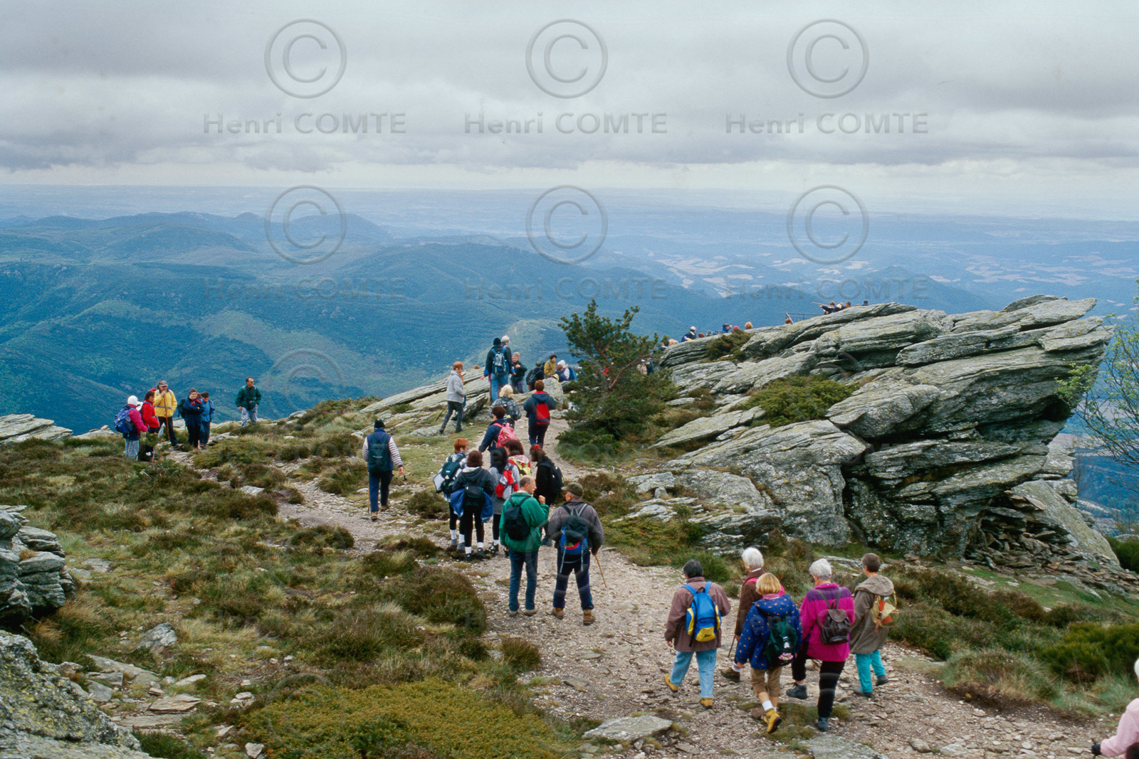 Monts de l'Espinouse