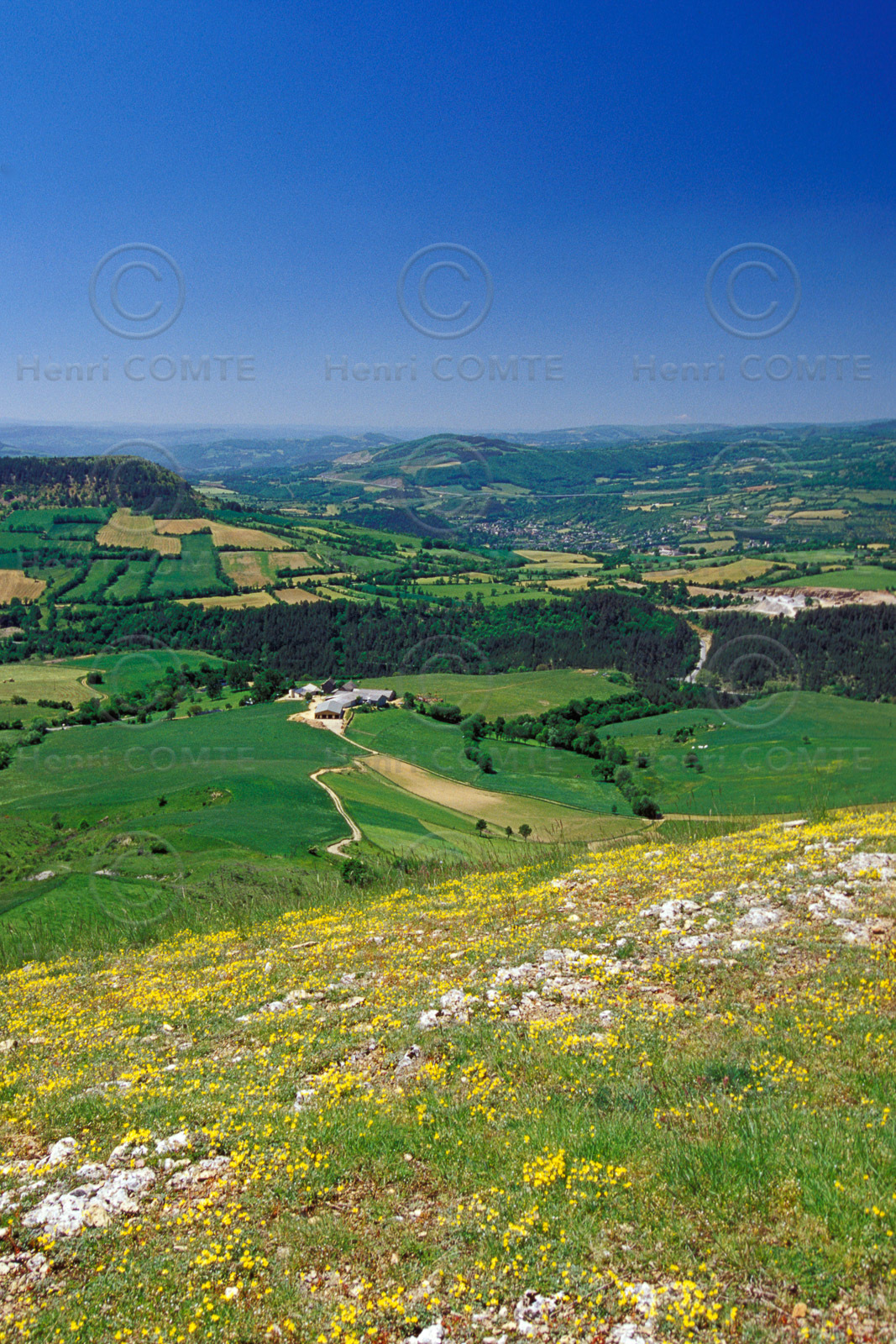 Causse- Lozère