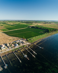 Etang de thau