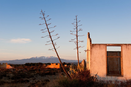 Camp de Rivesaltes