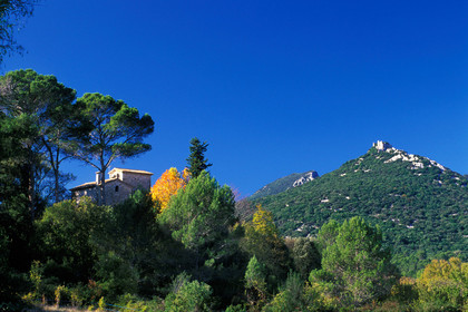 Pic Saint Loup