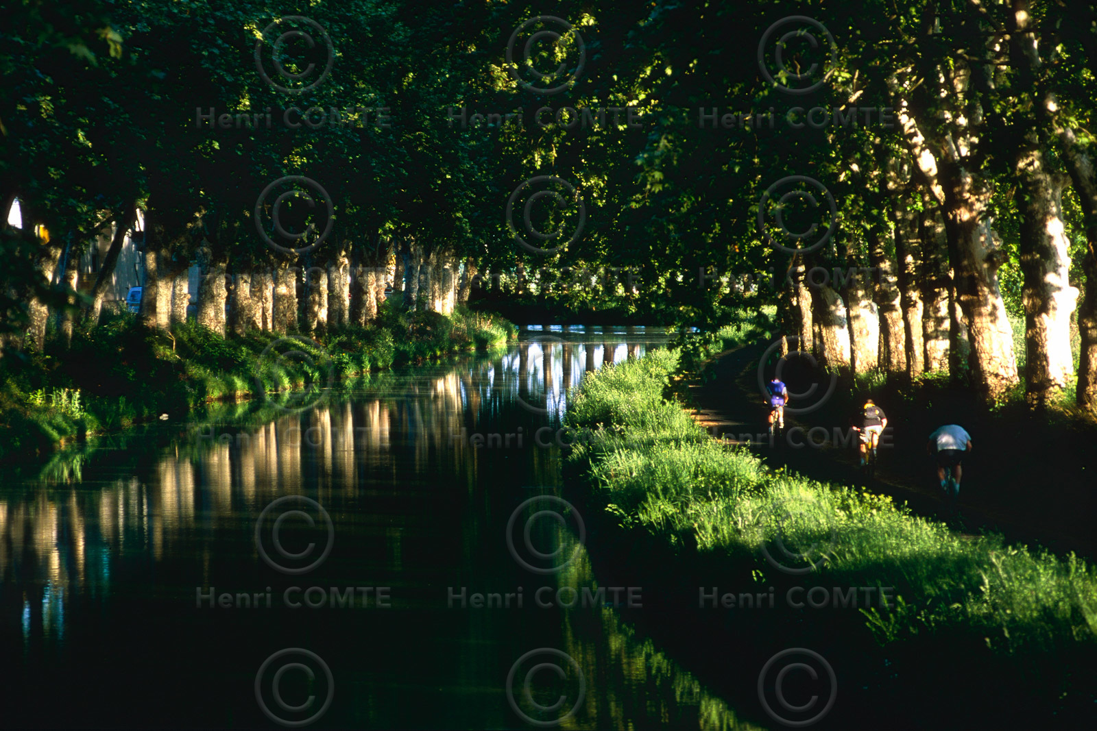 Le canal du Midi