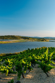 Vignoble des Corbieres