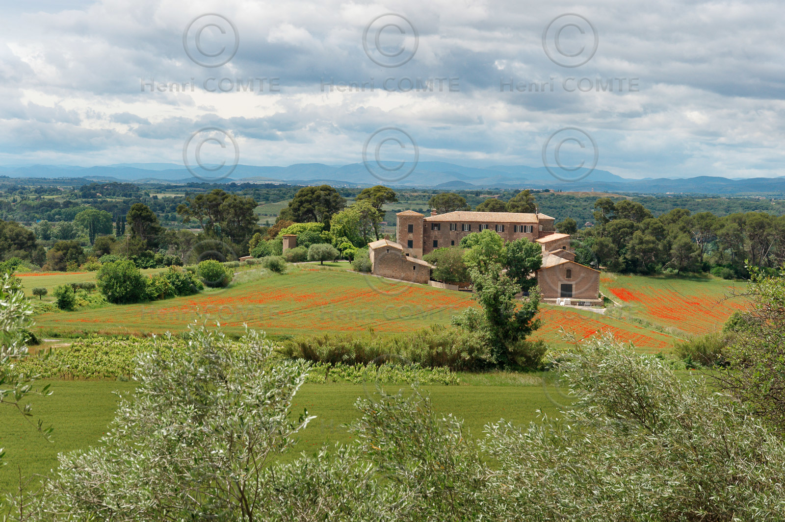 Plaine de l'Hérault
