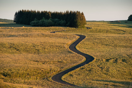 Aubrac