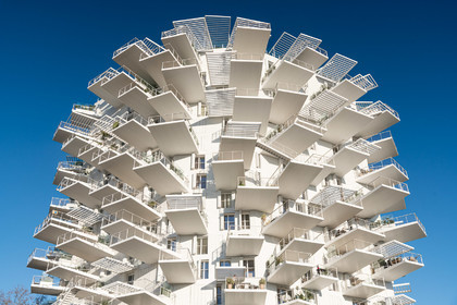 L'Arbre Blanc