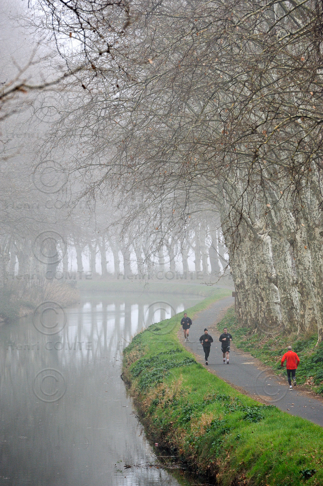 Le canal du Midi