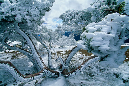 Mont Aigoual