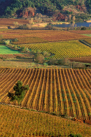 Vignoble du Salagou