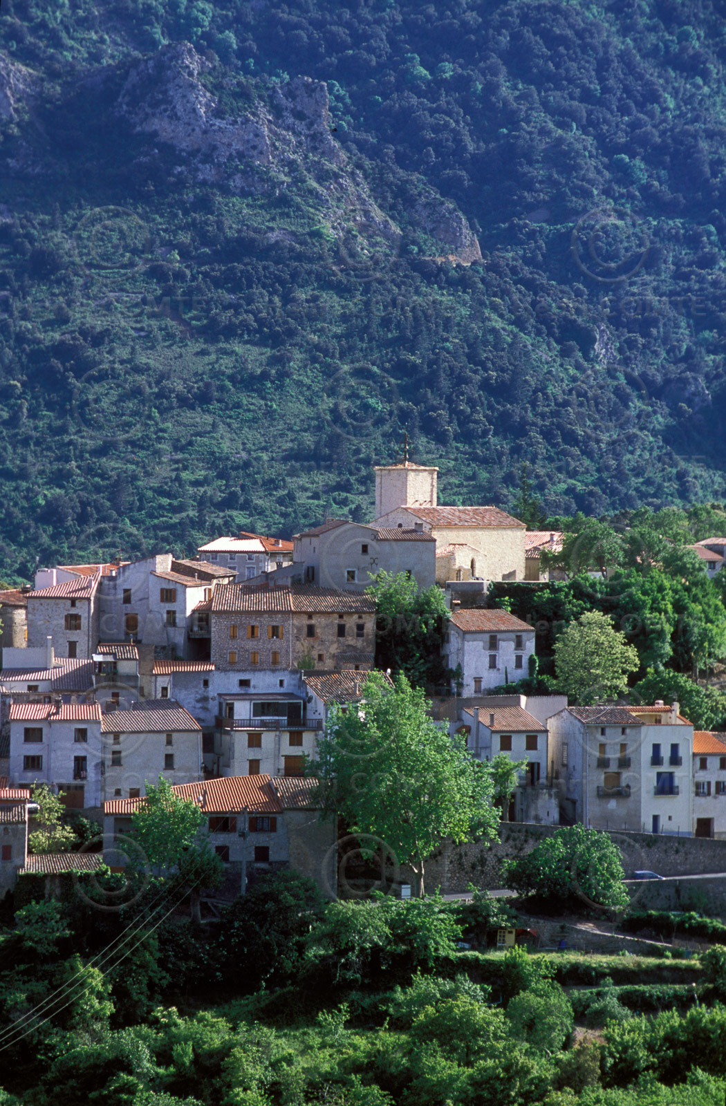 Duilhac sous Peyrepertuse