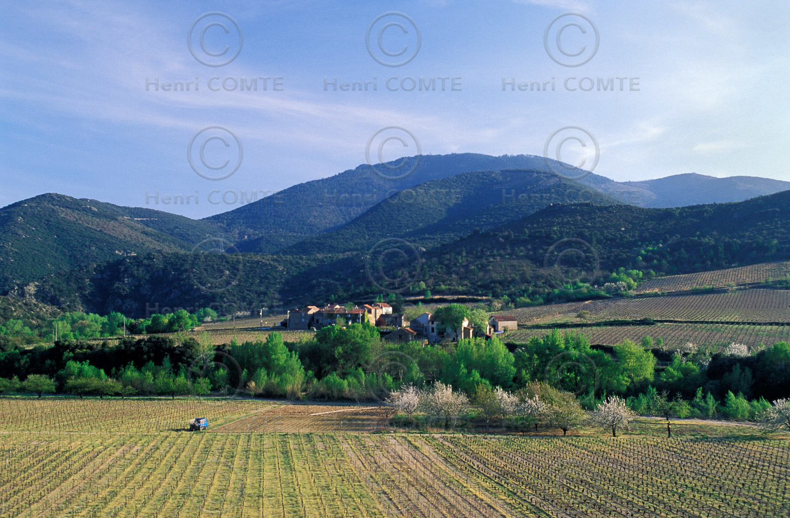 Haut Languedoc
