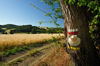 Chemin de Saint-Jacques