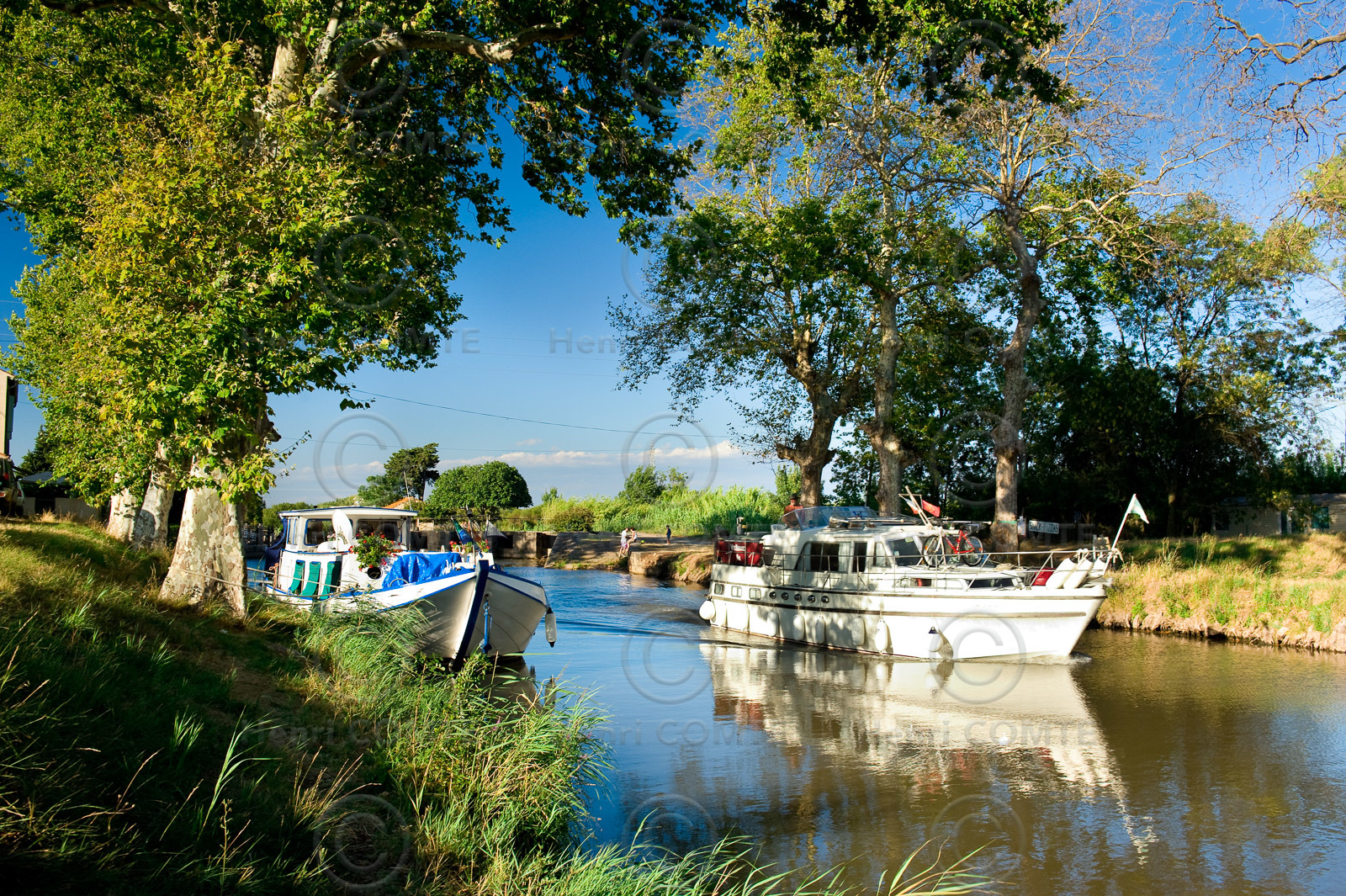Le canal du Midi