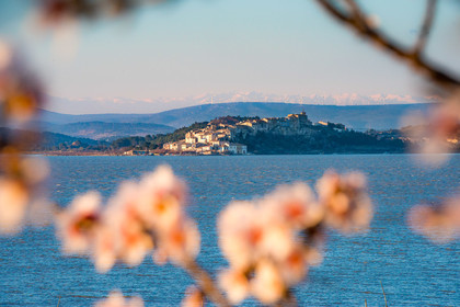 Etang de Bages