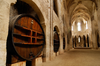 L'abbaye de Valmagne