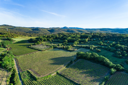 Vignoble Pezenas