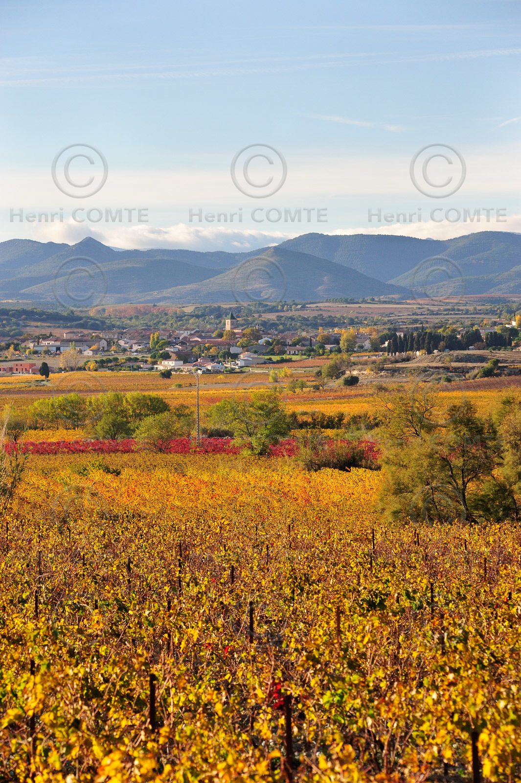 Vignoble de Faugeres