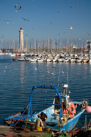 Sete