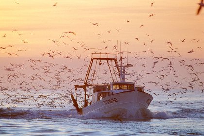 Retour de pêche