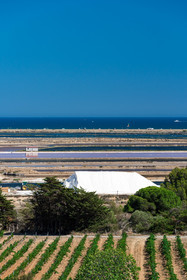 Salin de Gruissan