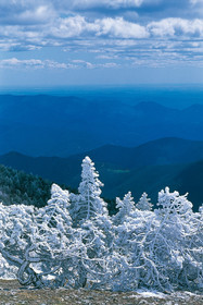 Mont Aigoual