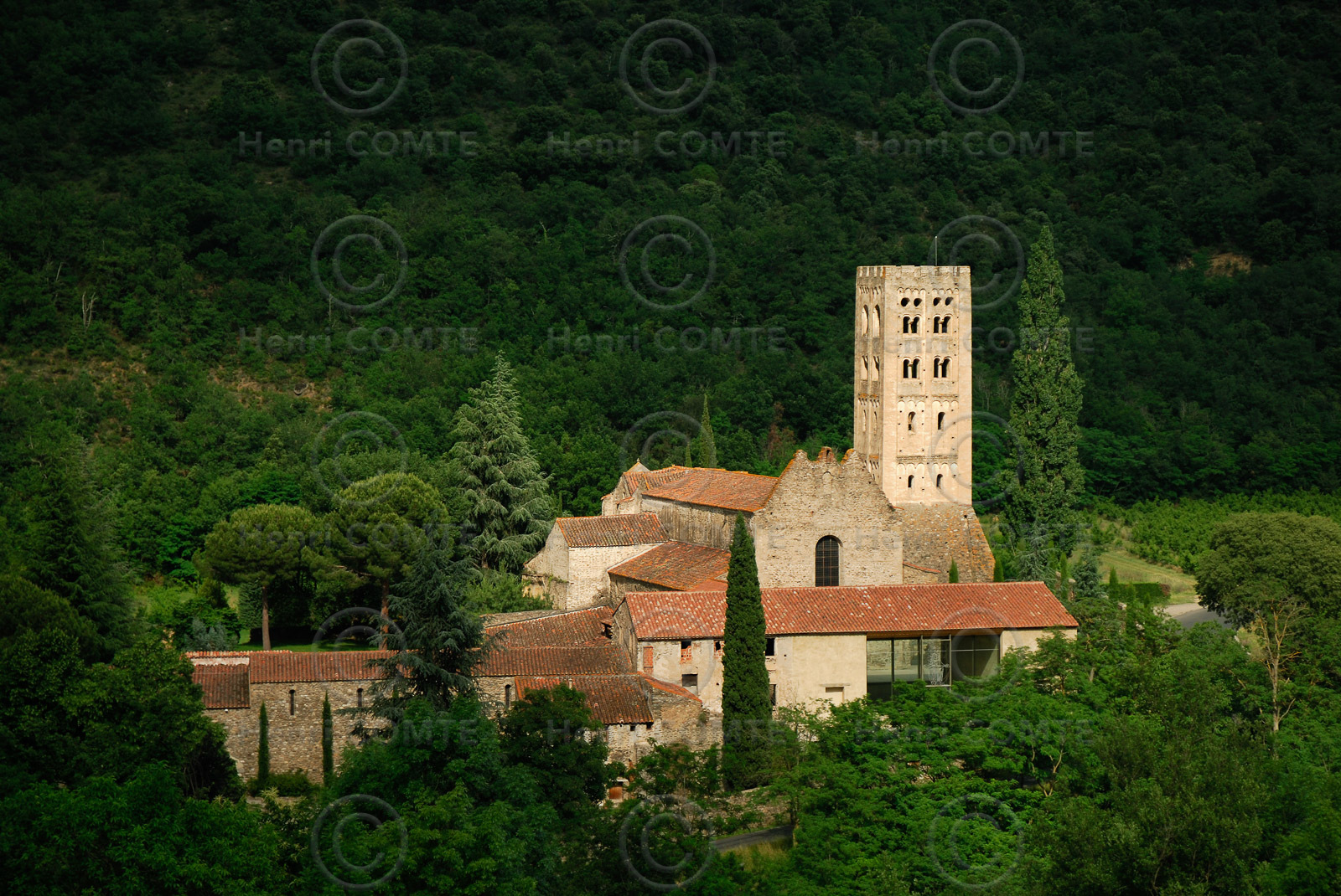 Saint Michel de Cuxa