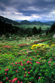 Massif du Carlit