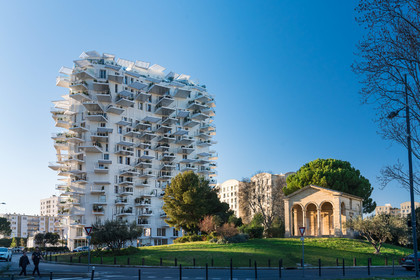 L'Arbre Blanc