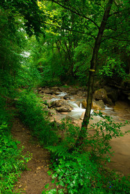 Torrent