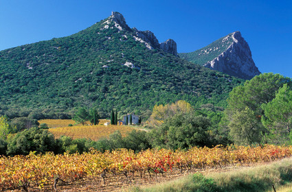 Pic Saint Loup
