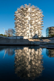 L'Arbre Blanc