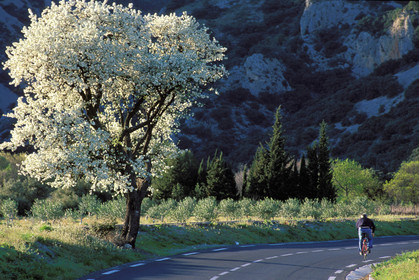 Route