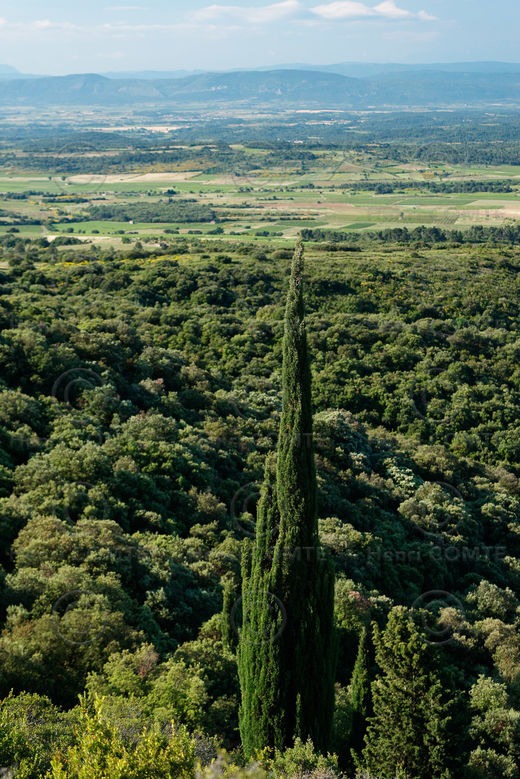 Haut-Minervois