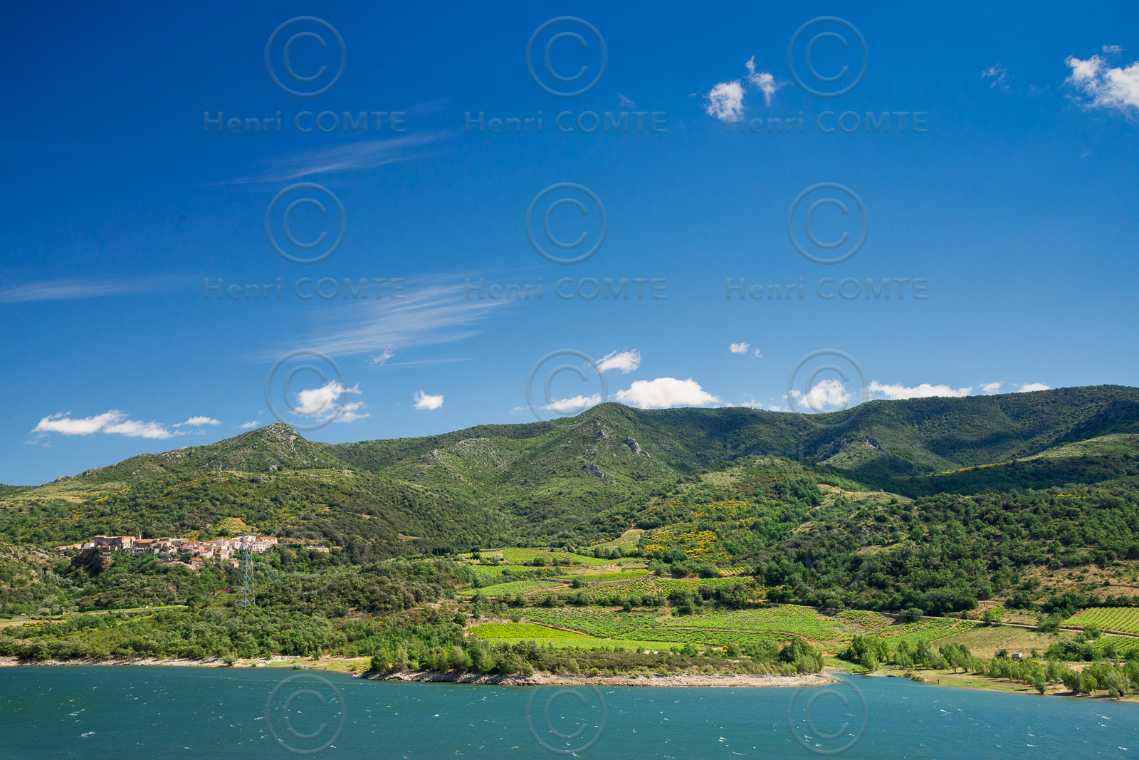 Vignoble de Caramany